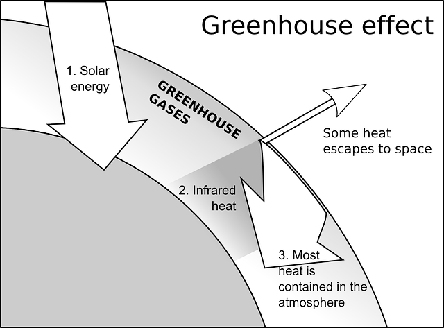 What is Greenhouse Effect and What are Greenhouse Gases?
