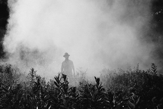 fog-steam-person-farmer-spraying