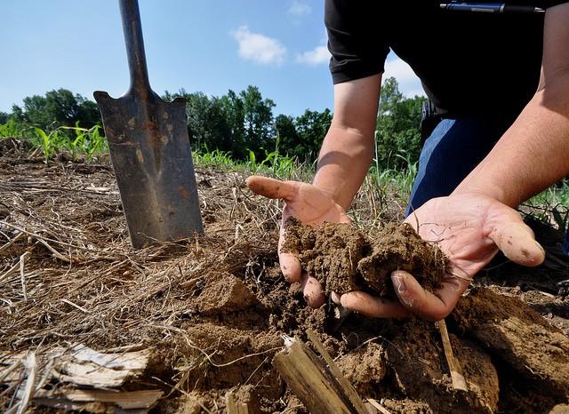 10 ways to conserve soil