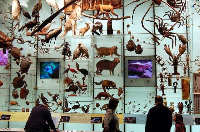 biodiversity-mounted-on-a-wall