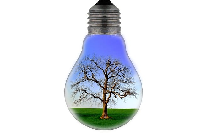 bulb-light-tree-lighting-landscape-save-electricity