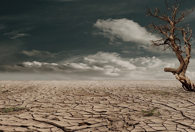 Types, Causes and Effects of Droughts
