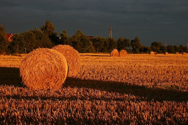 summer-straw-field-sunset