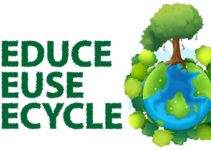 The Importance of Recycling to the Environment