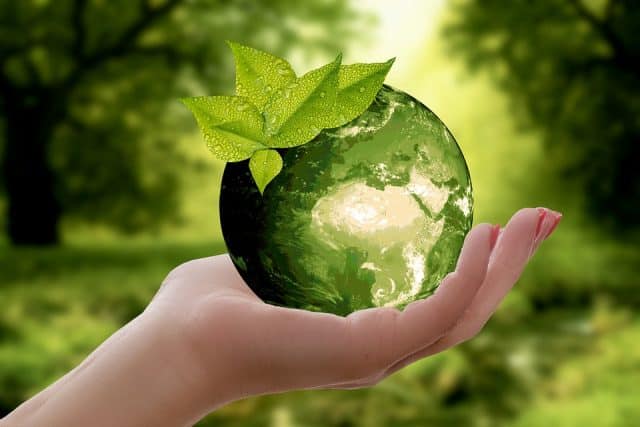 Global Warming is a Real Issue – Reducing Your Carbon Footprint