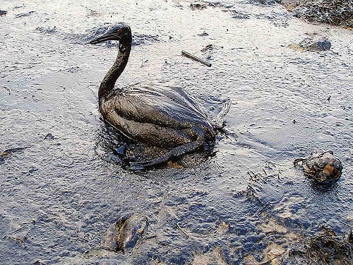 Black Sea Oil Spill