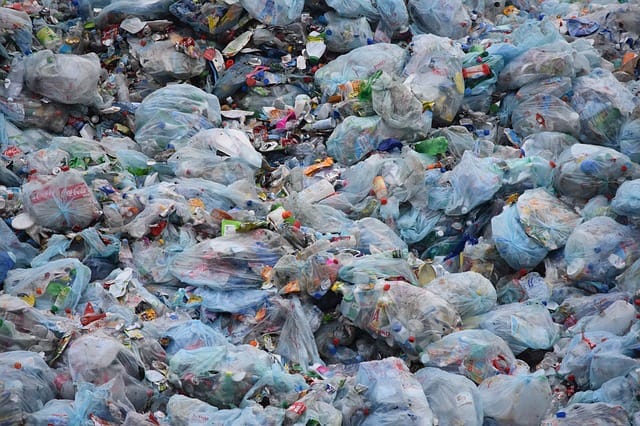 15 Serious Effects of Plastic Bags Causing Environmental Pollution