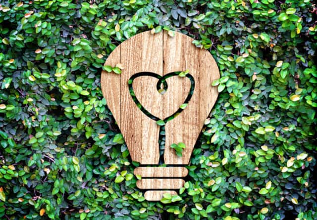 7 Ways to Reduce Your Company’s Environmental Footprint and Green Your Business