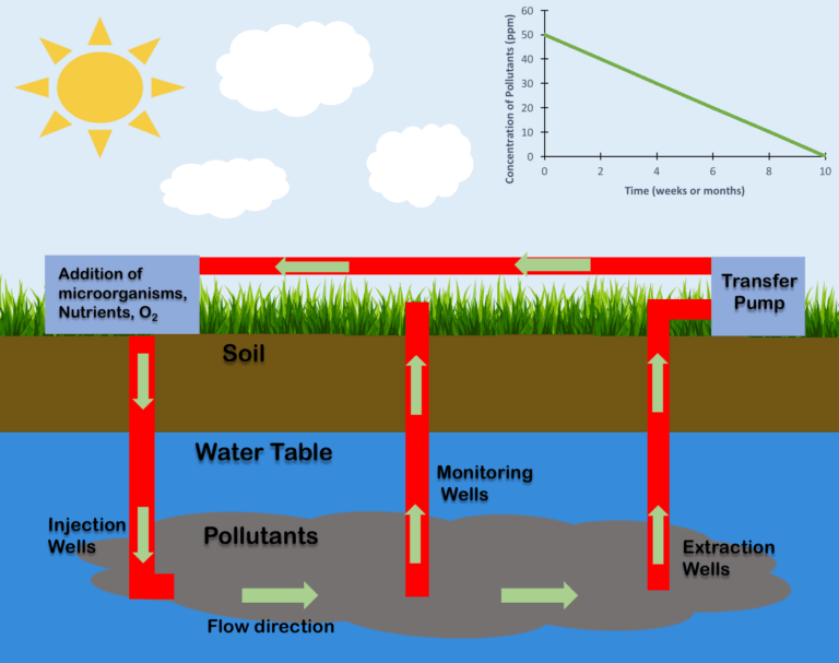 Bioremediation: Types, Uses and Techniques