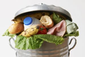 food waste bin