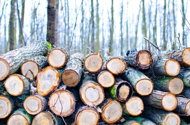wood-logs-lumber-woodpile-firewood