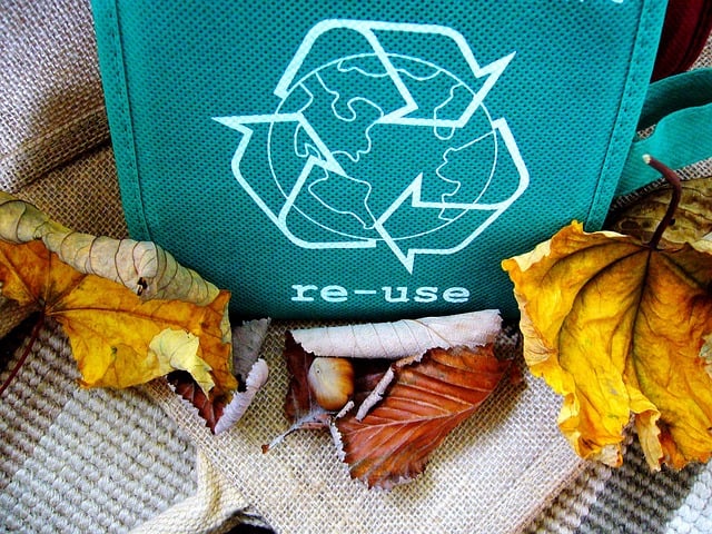 30 Extraordinary Recycling Facts For Kids That You Absolutely Need to Know