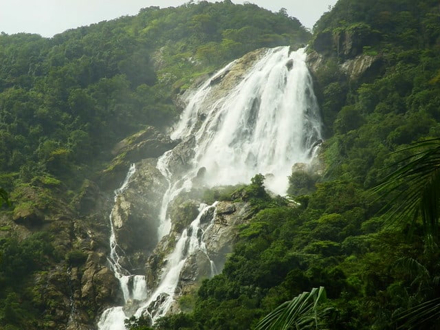 Top 13 Highest Picturesque Waterfalls in India That Will Make You Fall in Love With Them
