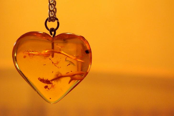 What is Amber? How is Amber Formed, Where is it Found and What is it Made of?