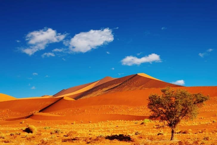 The World’s 13 Most Famous Deserts You Probably Didn’t Know