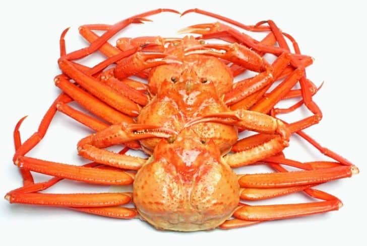 13+ Different Types of Crabs You Might Not Have Seen Before (With Pictures)