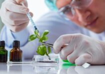 Advantages and Disadvantages of Biotechnology