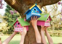10 Benefits of Birdhouses and How  They Help the Environment?