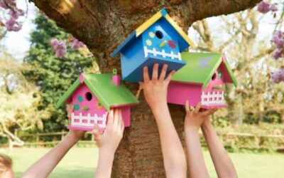 10 Benefits of Birdhouses and How  They Help the Environment?