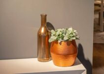 Can Plants Grow in Brass and Copper Pots?