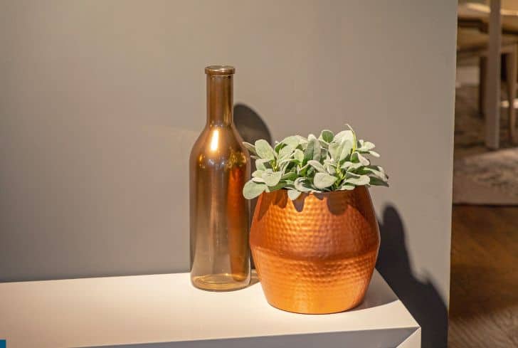 plants-in-copper-pot