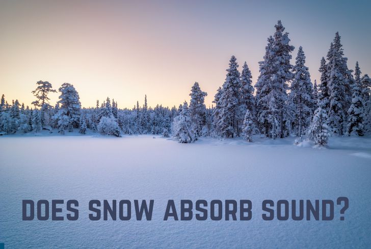 Does Snow Absorb Sound? (And Light and Heat?)