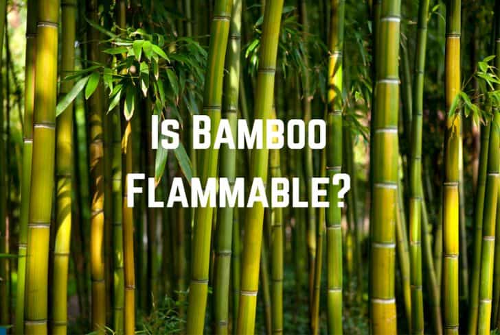 Is Bamboo Flammable? (What Temp Does it Catch Fire?)