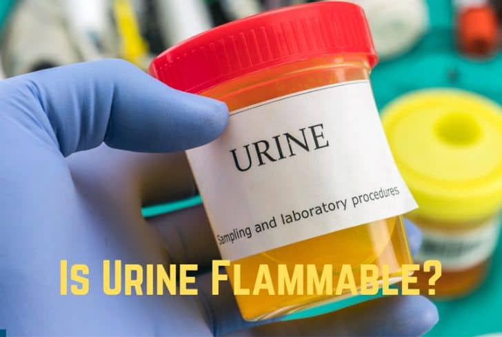 Is Urine/Pee Flammable? (We Got Answer)