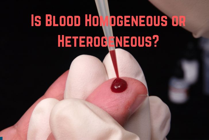 Is Blood Homogeneous or Heterogeneous? (It’s Heterogeneous)