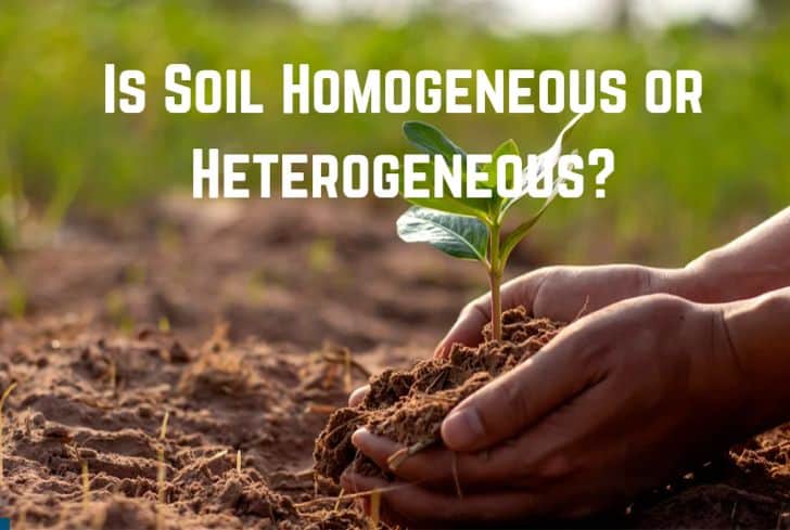 Is Soil Homogeneous or Heterogeneous? (Answered)