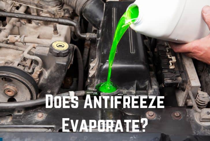 Does Antifreeze/Coolant Evaporate? (Answered)