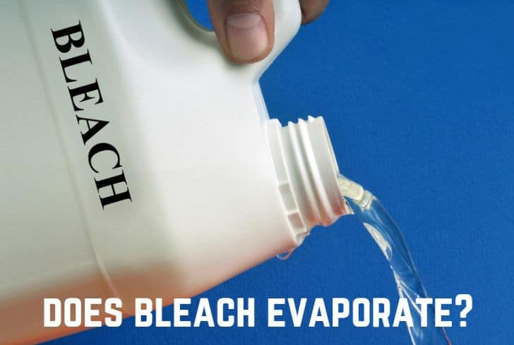 Does Bleach Evaporate? (No. It Does Not)