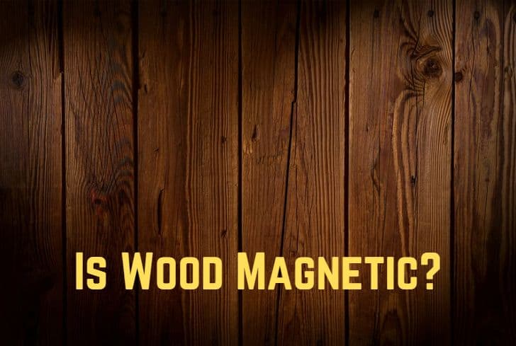 Is Wood Magnetic? (No Way)
