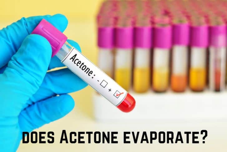 does-acetone-evaporate