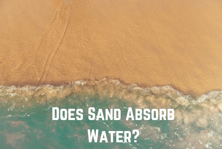 Does Sand Absorb Water? (Answered)