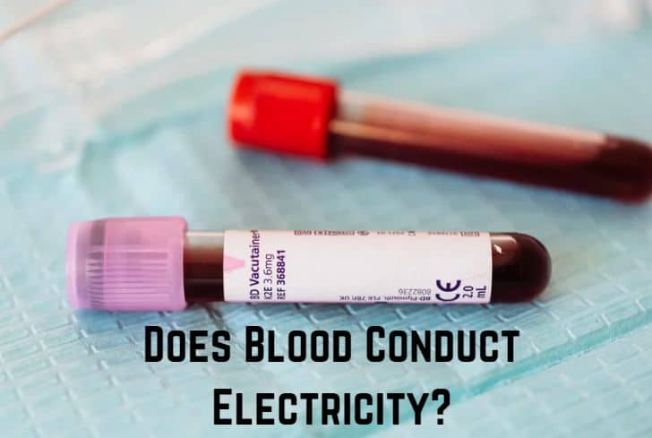Does Blood Conduct Electricity?