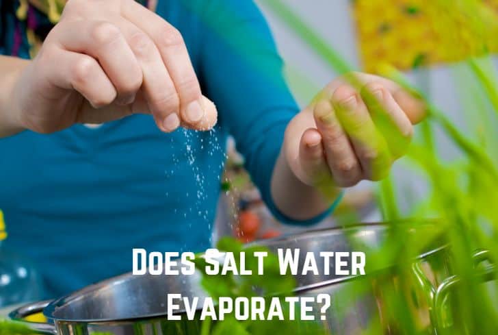 Does Salt Water Evaporate?