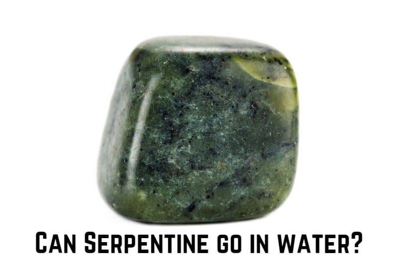 can-serpentine-go-in-water
