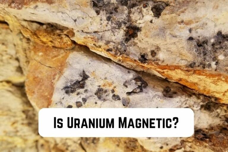 Is Uranium Magnetic? (Answered)