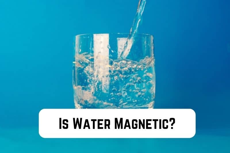 Is Water Magnetic? (It’s Non-magnetic)